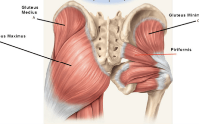 Weak glutes – Not just a pain in the arse…