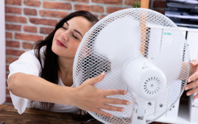 Menopause at work – A light-hearted look at crappy HR policies