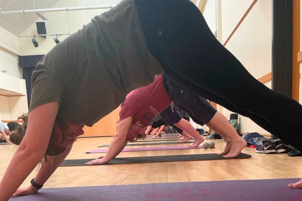 A view of Ad Astra Yoga members in Downward Facing Dog